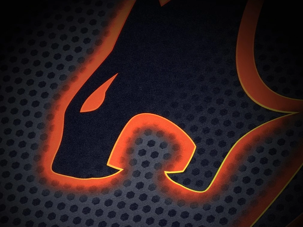 Mauspad Cougar Arena 800x300mm, zi