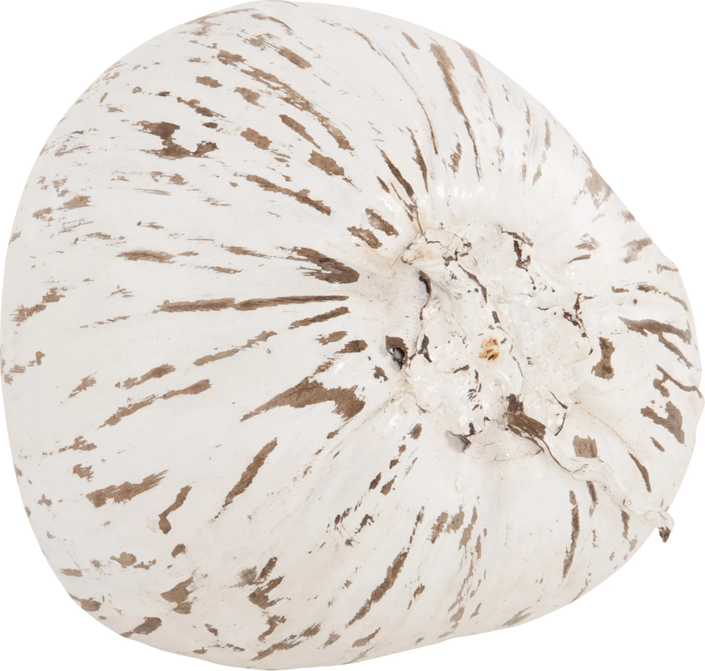 Dekor tavoline FH4326.05 kokosi ngjyrë bardhë 20x20x20H cm