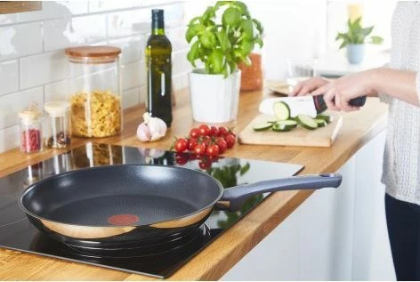 Tigan Tefal Universal 26 cm, inox/gri