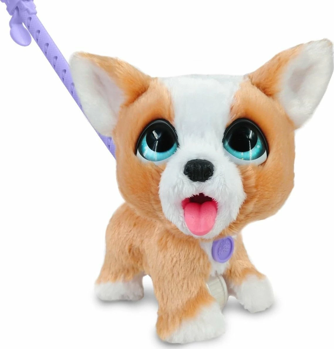 Lodër interaktive pelushi qen Corgi Fur Real Walk-A-Lots RTNGGEO2, 20 cm, me zë dhe lëvizje, kafe/bardhë, set (qen + litar + ëmbëlsira + lopatë)