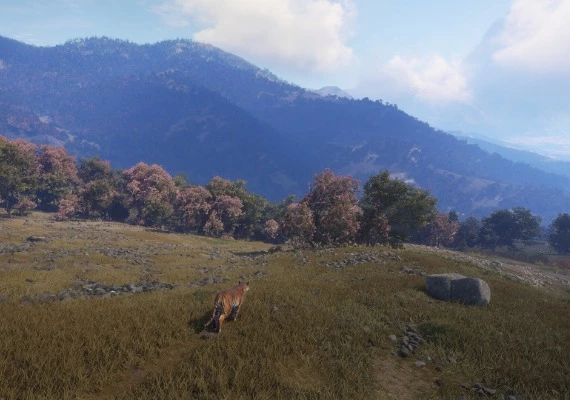 theHunter: Call of the Wild - Sundarpatan Nepal Hunting Reserve DLC EN Global