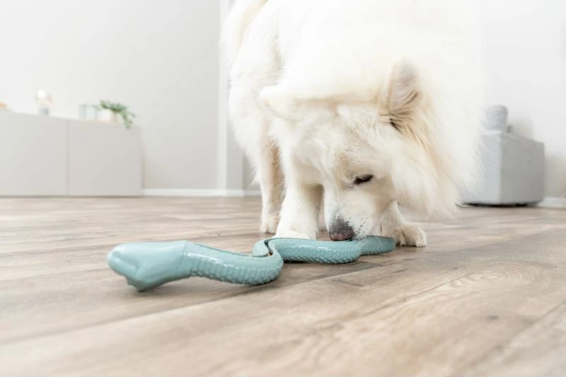 Lodër për qen TRIXIE Treat Hose, e gjelbër, 27 cm