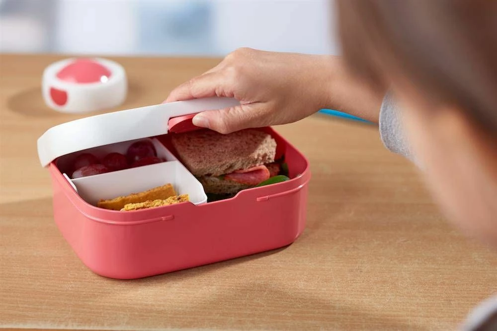 Kuti ushqimi për fëmijë Rosti Mepal Lunchbox Campus Animal Friends 107440065373, 18x13x6 cm, bardhë/turkez