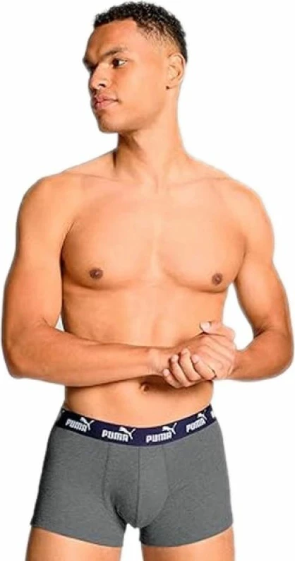 Të brendshme boxer Puma për meshkuj, gri