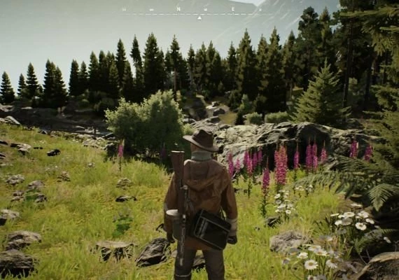 Vigor - Norwegian Woodchuck Pack DLC EN Global