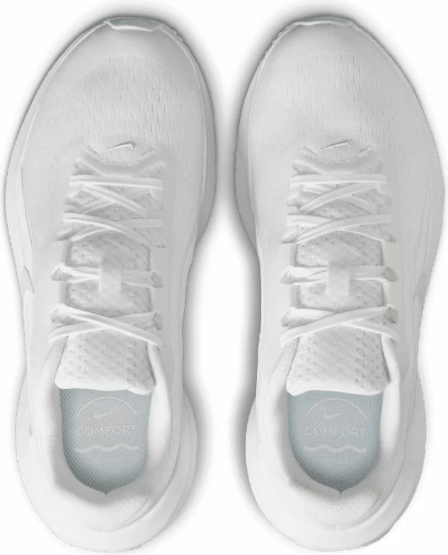 Atlete Nike Downshifter 14 W IB1899-102