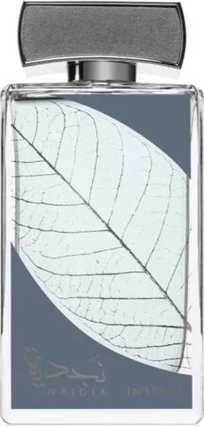 Eau de Parfum për meshkuj Lattafa Najdia Intense 100ml