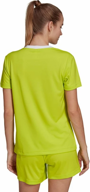 Maicë për Femra adidas Entrada 22 Jsy, ngjyrë jeshile HC5080 [Madhësia: XS]