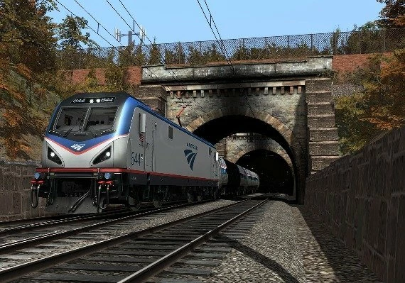 Train Simulator: Northeast Corridor: Washington DC - Baltimore Route DLC EN/DE/FR/IT/PL/RU/ZH/ES Global