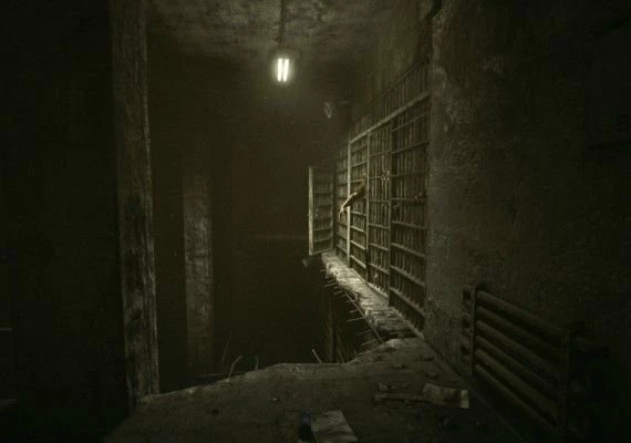 Outlast: Whistleblower DLC Global