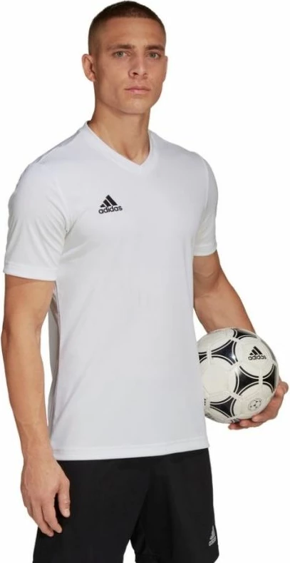 Fanellë adidas për meshkuj, e bardhë [Madhësia: L]