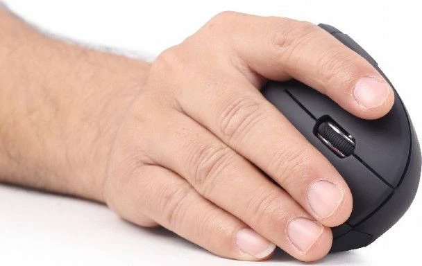 Maus Gembird MUSW-ERGO-01 wireless optik 1600 DPI 6 butona, i zi