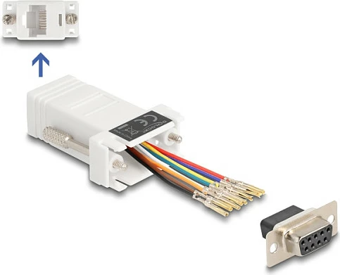 Adapter DeLOCK DB9 (D-Sub 9pin) femër në RJ45 femër, kit montimi, i bardhë