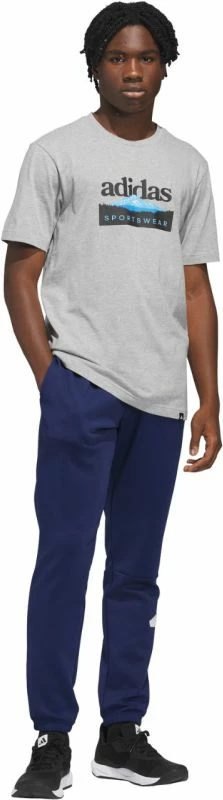 Maicë për meshkuj adidas Sportsman Mountain Graphic KC9253, gri e çelët