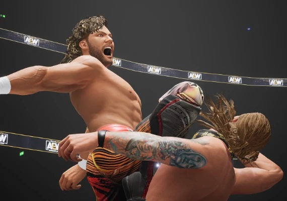 AEW: Fight Forever EN/DE/FR/JA/PT/ZH/ES Global