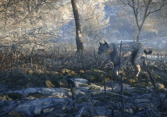 theHunter: Call of the Wild - Medved-Taiga DLC Global