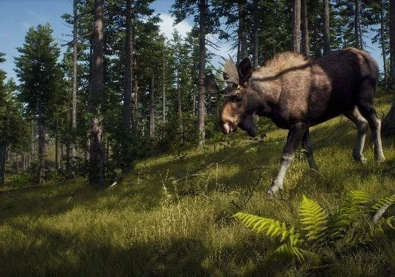 Way of the Hunter Global
