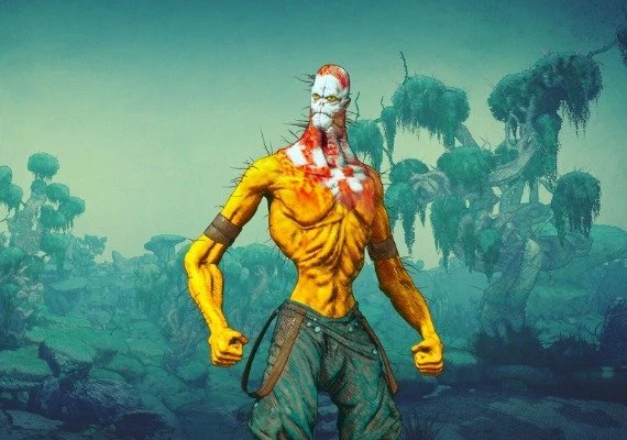 Clash: Artifacts of Chaos - Lone Fighter Pack DLC Global