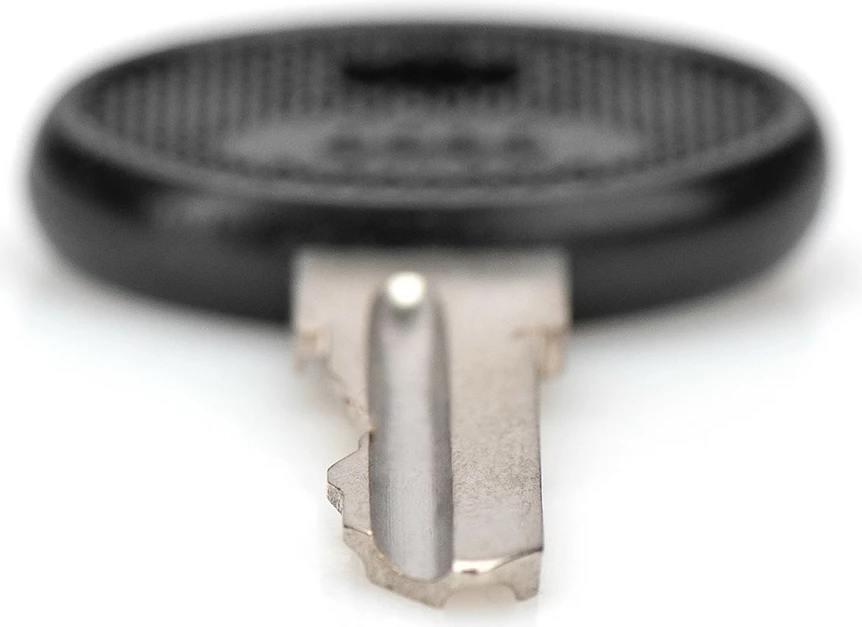 Çelësa rezervë Digitus për kasë rrjeti SOHO PRO DN-1019/DN-DVR-1, 2 copë, zi/argjendtë