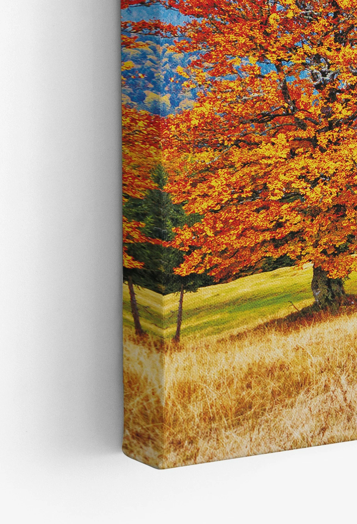 Pikturë dekorative në kanavacë, shumëngjyrëshe, Wallity Ersyfdc45, 40x60cm