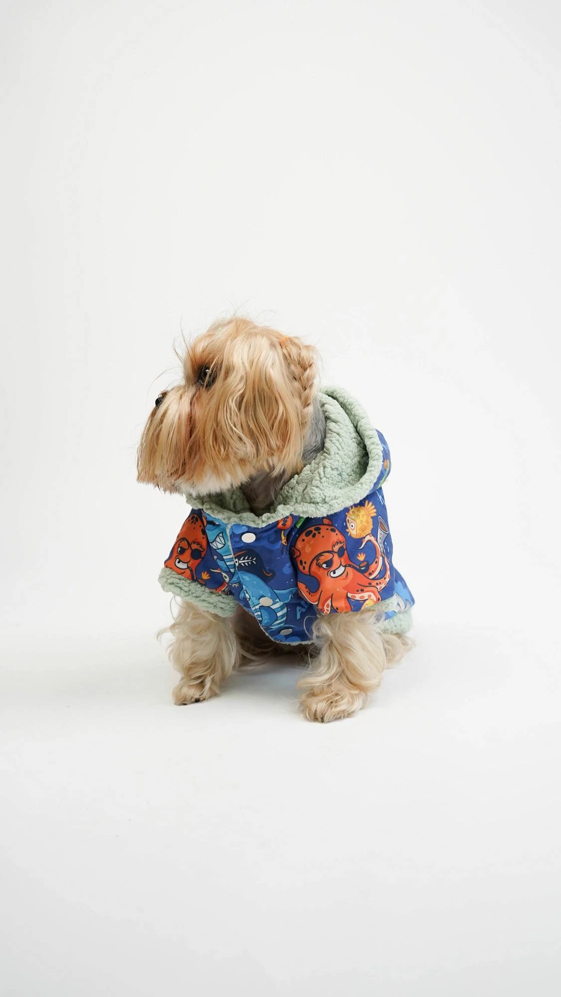 Bluze me kapuç për qen, multikolor, Ocean Raincoat, Paws & Whiskers, XL