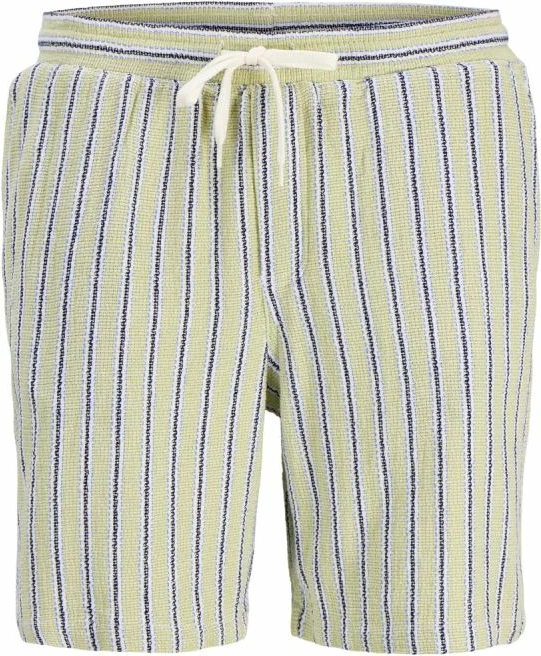 Shorce për meshkuj Jack&Jones JPSTJAIDEN COBA STRIPE JOG SHORTS REG SN, me vija