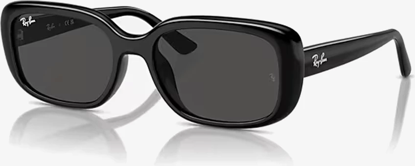 Syze dielli Ray-Ban RB4421D 667787 56