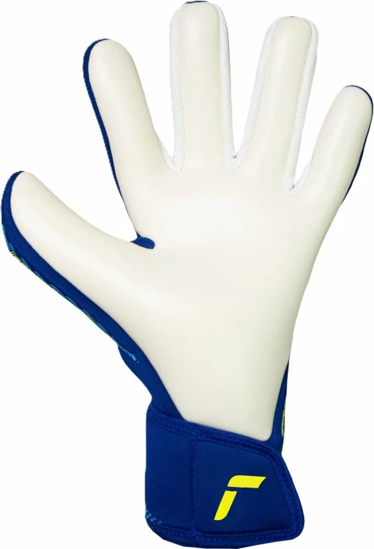 Doreza portieri Reusch Fastgrip Advance 5670200 4994, blu [Madhësia: 10]