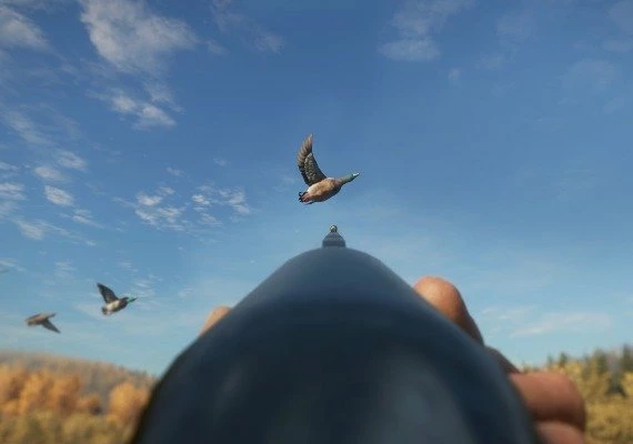 theHunter: Call of the Wild - Duck and Cover DLC Global