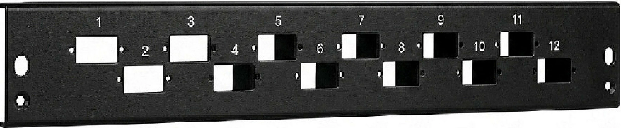 Panel frontal EFB Elektronik 24x SC Duplex/LC Quad vertikal, 1U, i zi
