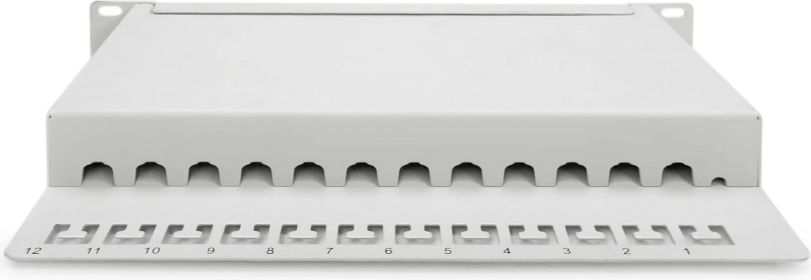 Patch panel Digitus Cat6a 12-port 10 inç gri