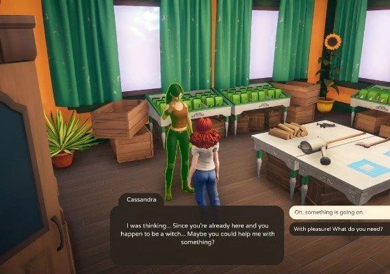 The Witch of Fern Island EN/PL Global