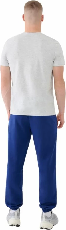 Pantallona për meshkuj 4F, të kaltra