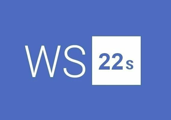 Windows Server 2022 Standard 2 Users Global