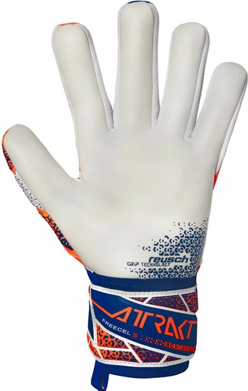 Doreza portieri Reusch, të arta