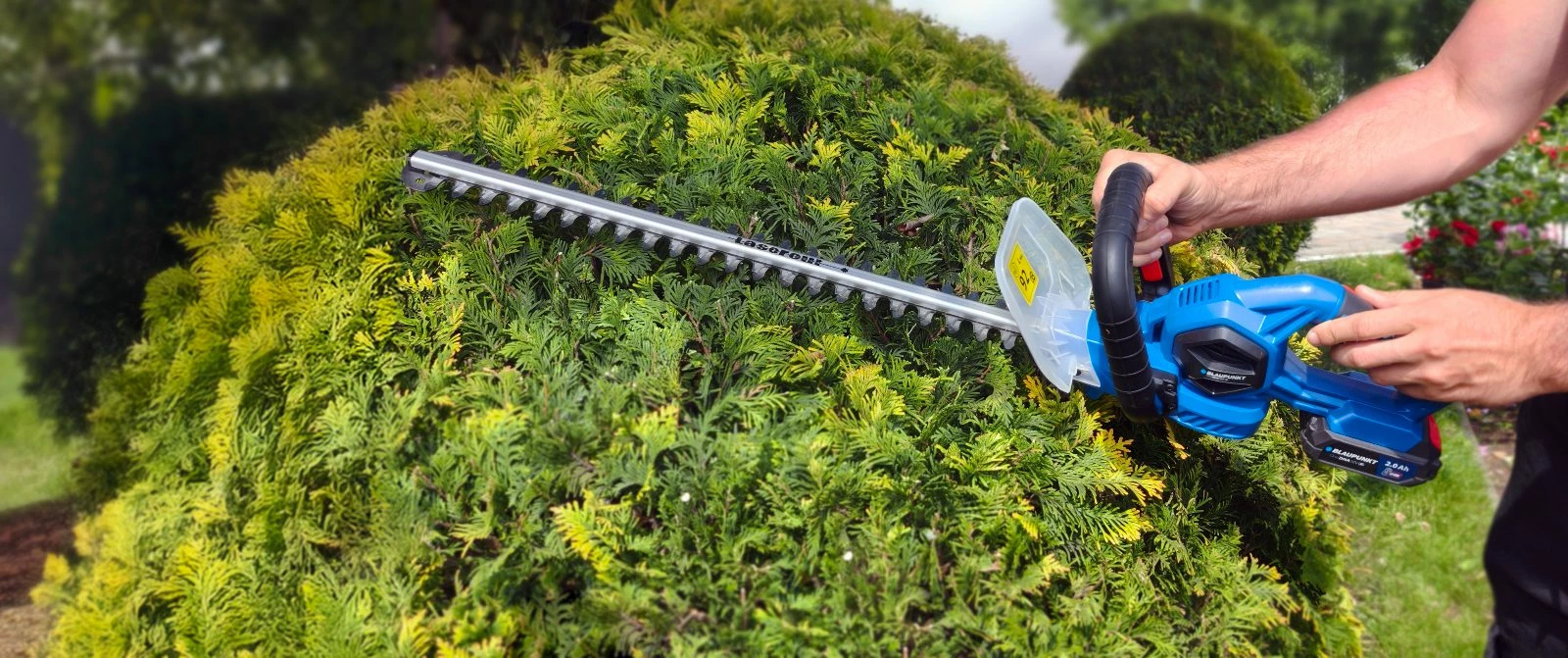 Prerëse Gardhi BLAUPUNKT CT6010