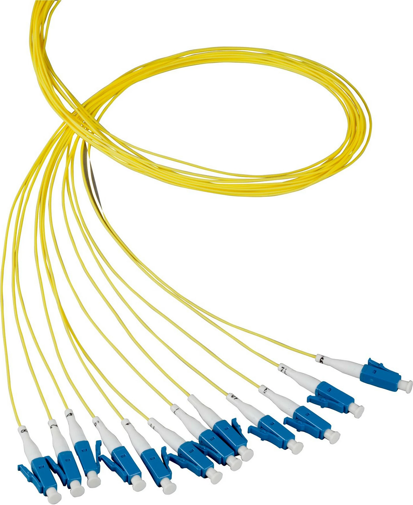 Pigtail fibër optike EFB Elektronik LC OM1, 2m, 1x LC në 12x LC, blu