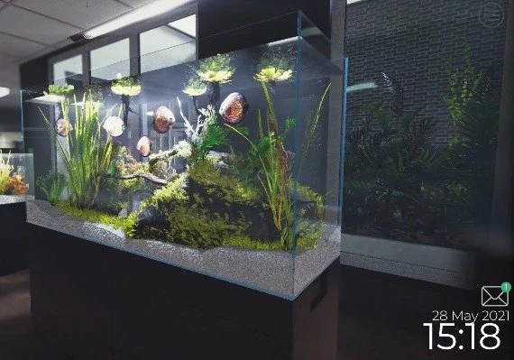 Aquarist Global