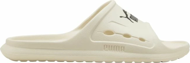 Flip-flop Puma Divecat Dry 404854 02