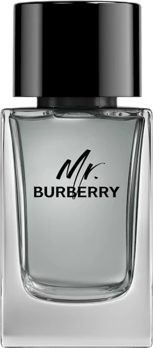 Eau de Toilette për meshkuj Burberry Mr. Burberry 100ml