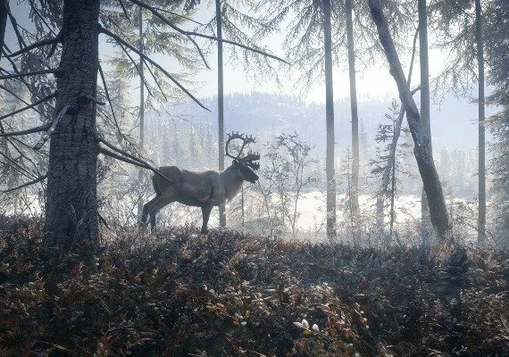 theHunter: Call of the Wild - Silver Bundle EN/DE/FR/IT/PT/ES Global