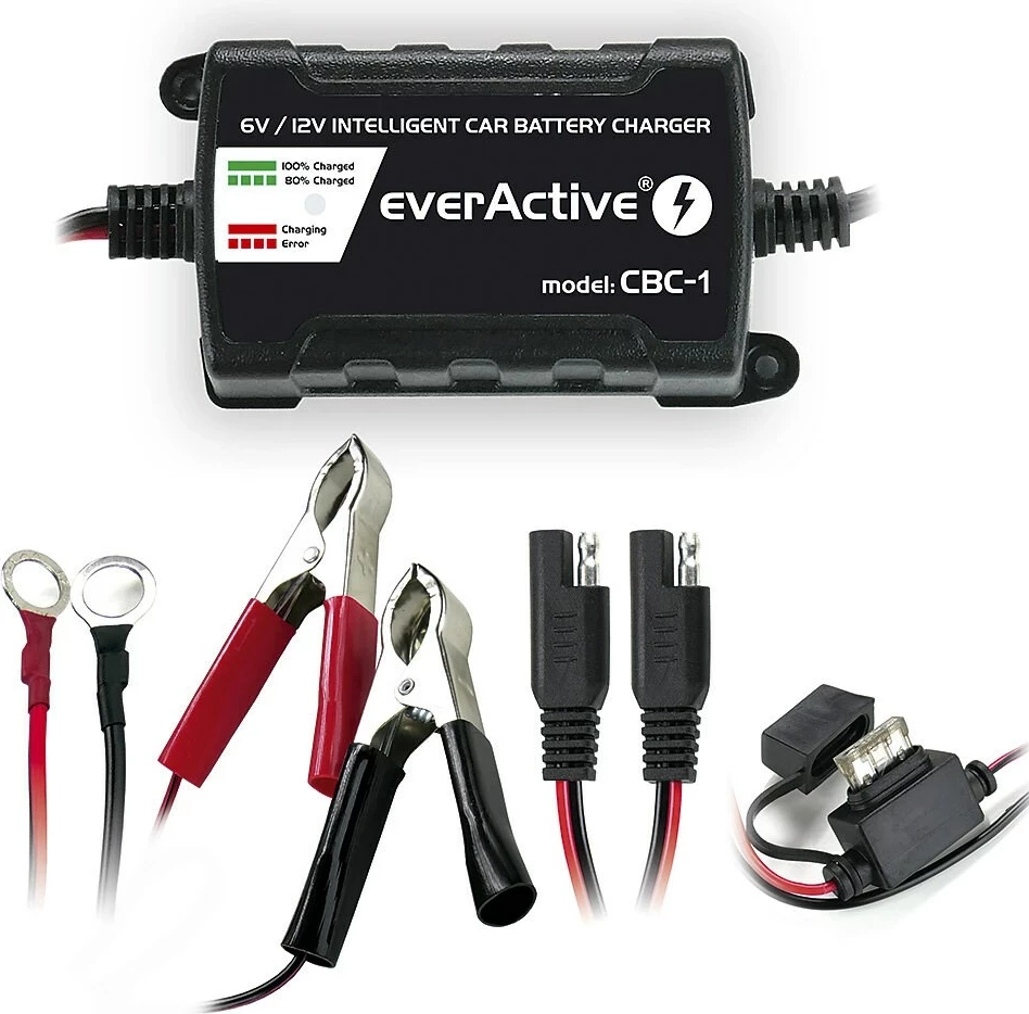 Karikues i baterisë së makinës everActive, 6-12V