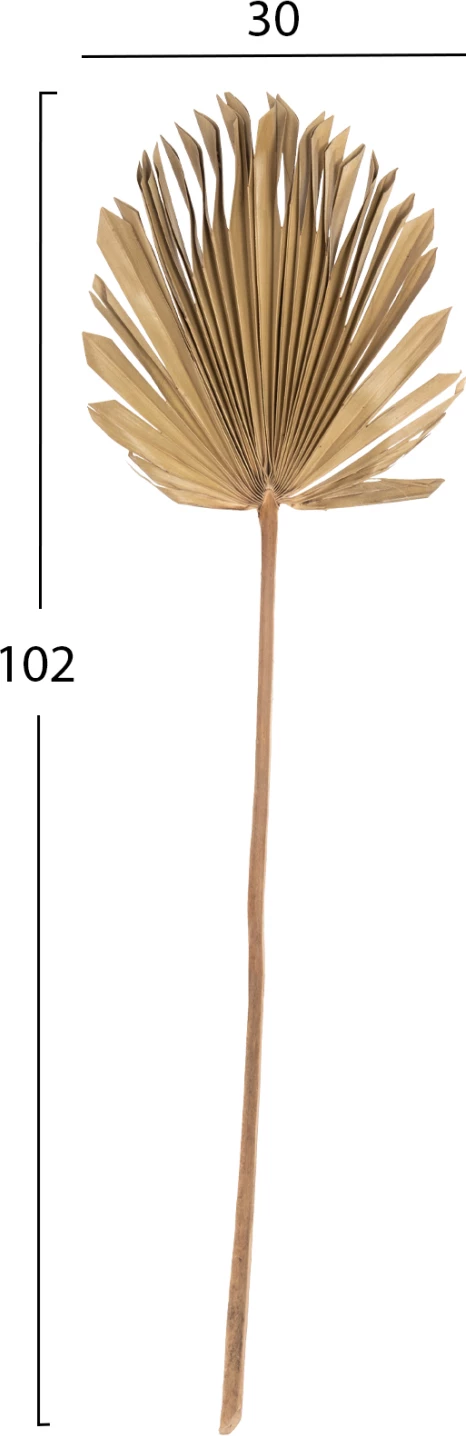 Dekor muri FH7876, gjethe palme e tharë, ngjyrë natyrale, 30x102x3 cm