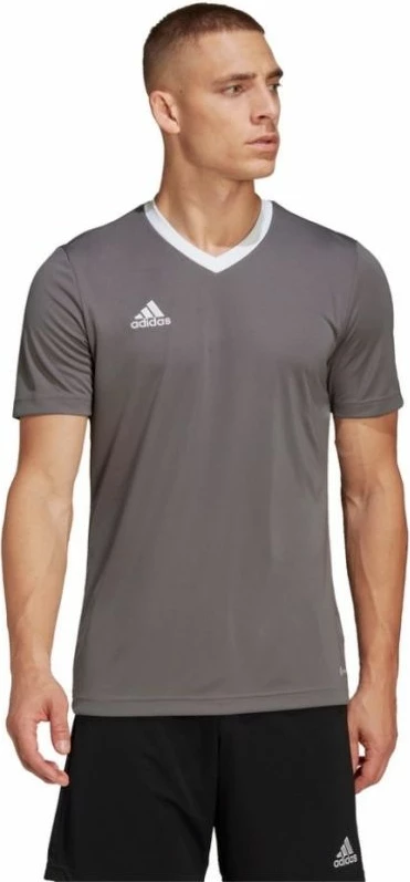 Maicë adidas për meshkuj, gri [Madhësia: XXL]