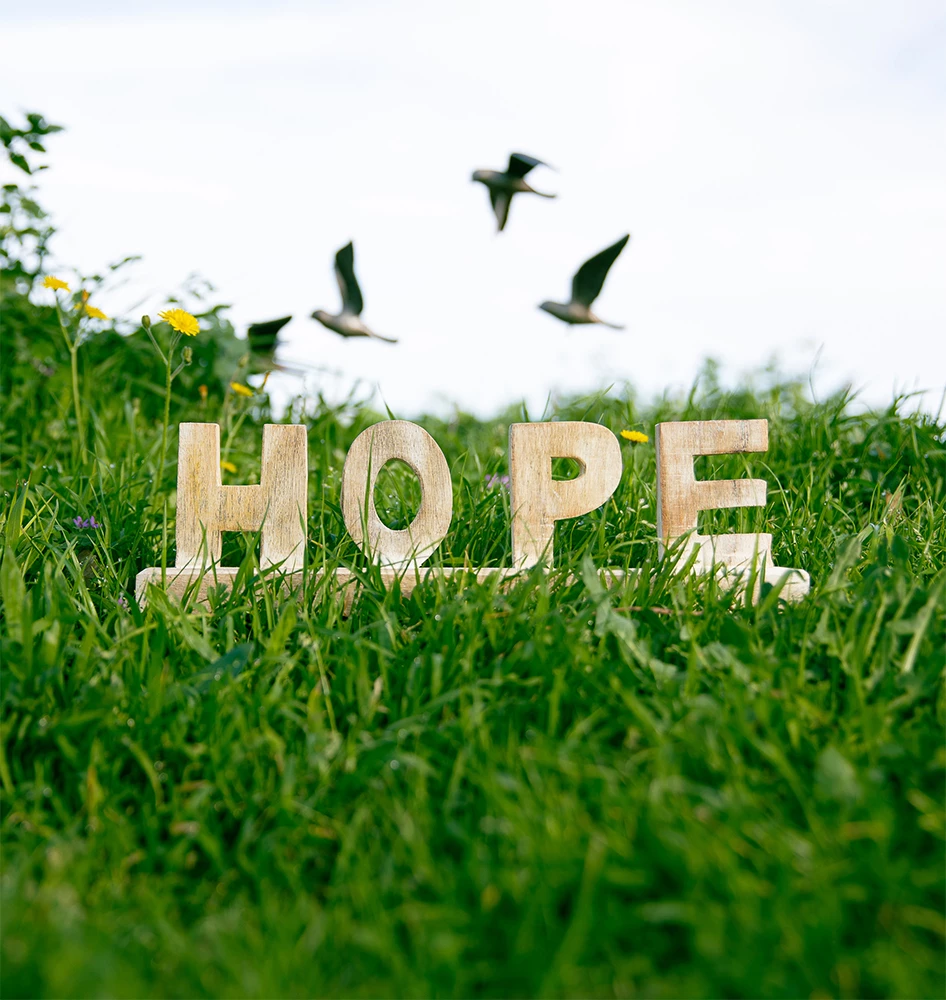 Dekor 'HOPE', dru mango, natyrale, 35x4x10cm