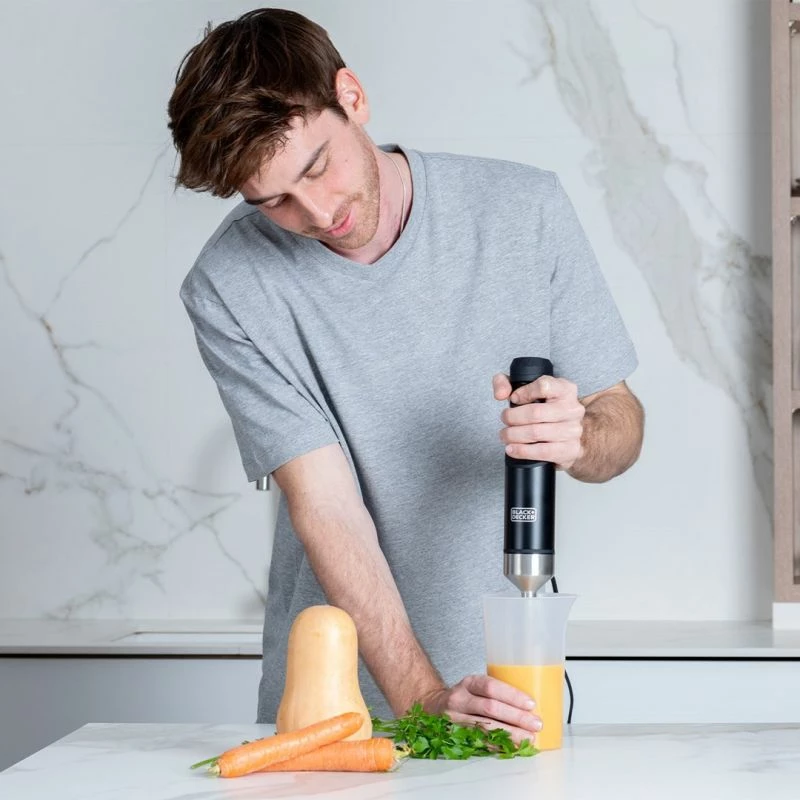 Blender dore WD Black+Decker BXHBA1501E, i zi
