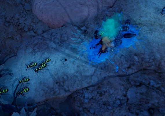 Empires of the Undergrowth - Exploding Ants DLC EN/DE/RU/ZH/ES Global