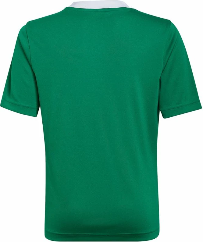 Fanellë Futbolli për Fëmijë adidas Entrada 22 Jersey, e Gjelbër [Madhësia: 116 cm]