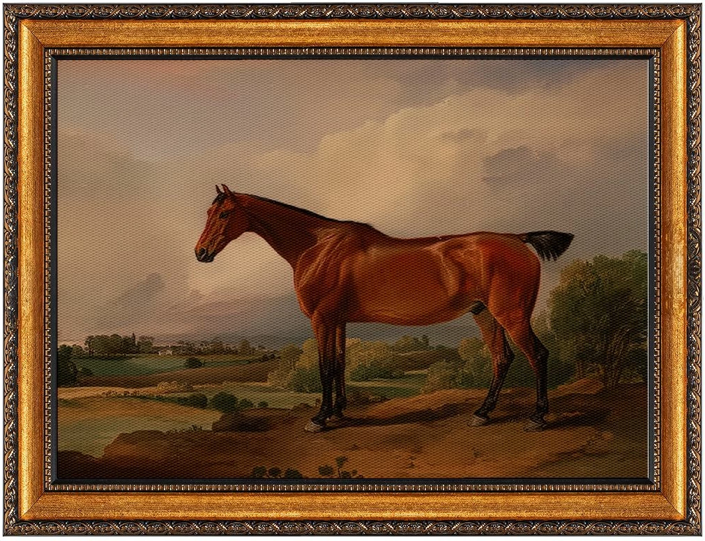 Pikturë dekorative në kanavacë me kornizë, shumëngjyrëshe, Wallity, ATCRCVCNVSMDL37 - 50x70cm