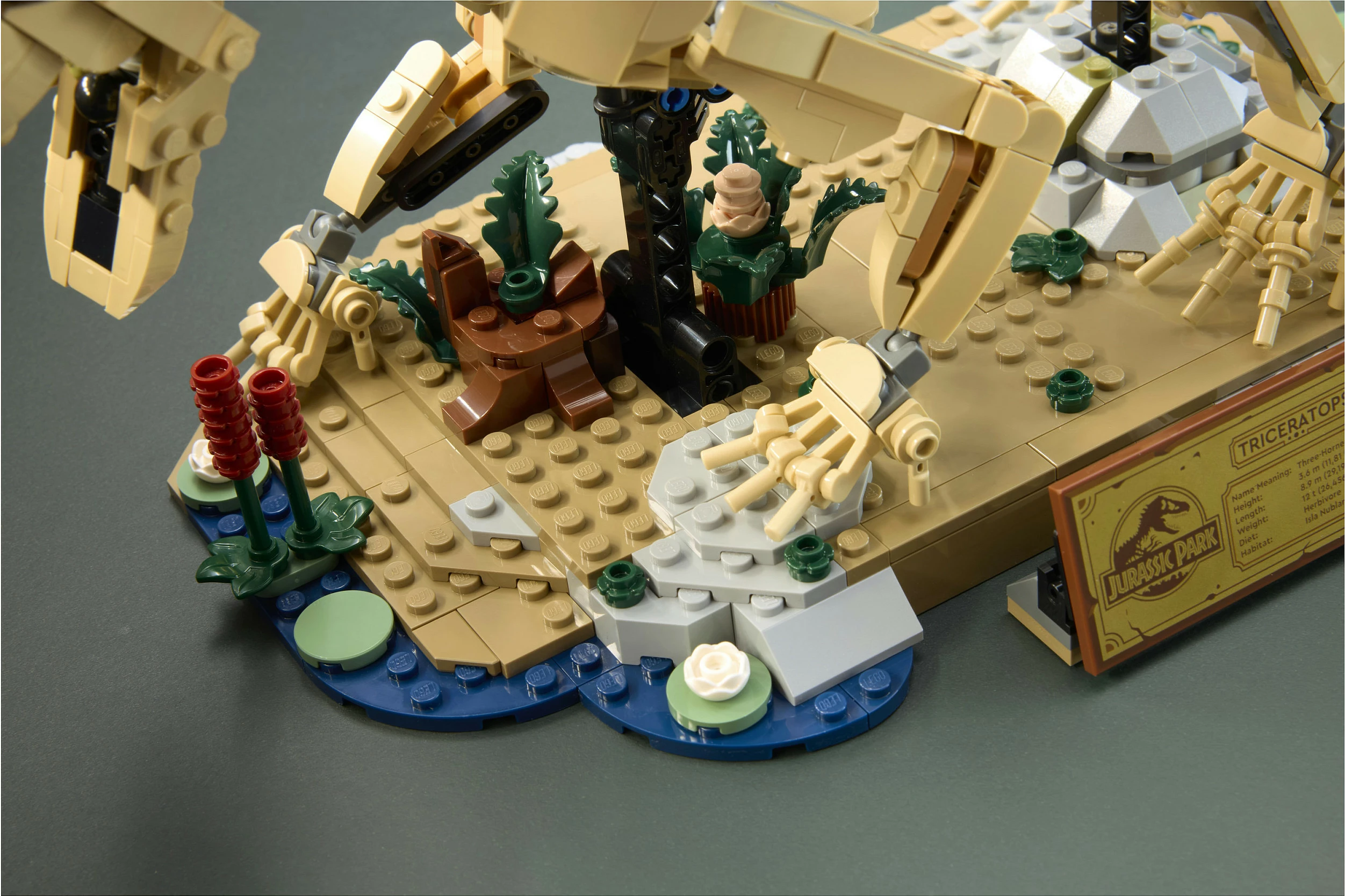 Set ndërtimi LEGO 77985 Dinosaur Fossil Triceratops, 1154 copë, 18+, multikolor